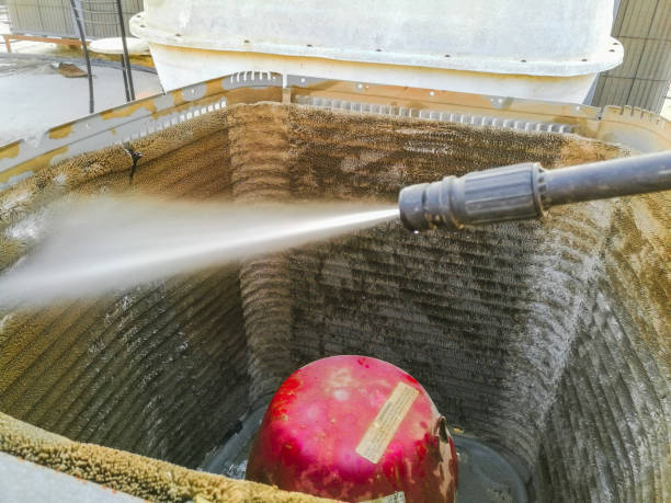 Best Professional Duct Cleaning Services  in Wliamsvle, IL