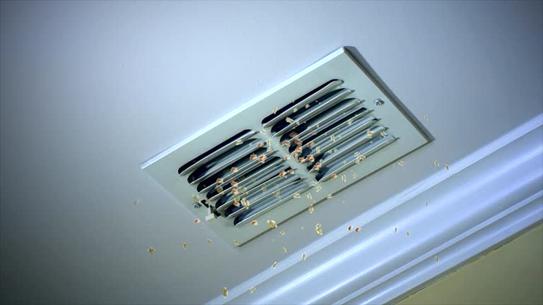 Best Home Air Vent Cleaning  in Wliamsvle, IL